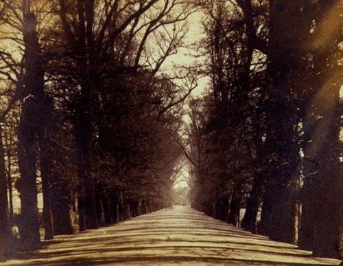 Broad Walk in Christ Church Meadow, 1861